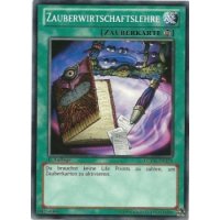 Zauberwirtschaftslehre LCYW-DE278