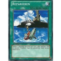 Reparieren SDRE-DE030