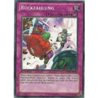 R&uuml;ckzahlung ABYR-DE078