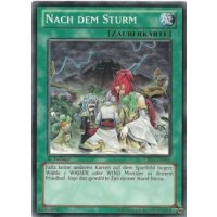 Nach dem Sturm CBLZ-DE066