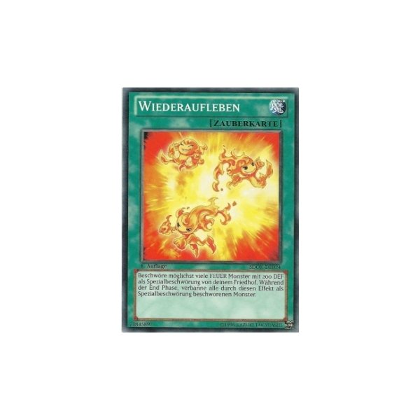 Wiederaufleben SDOK-DE024