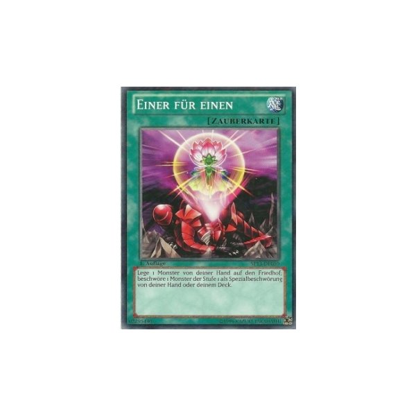 Einer f&uuml;r einen STARFOIL SP13-DE050