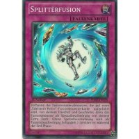 Splitterfusion HA07-DE028