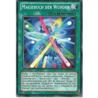 Magiebuch der Wunder LTGY-DE088