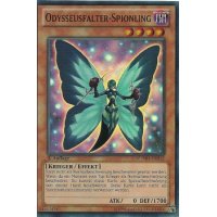 Odysseusfalter-Spionling NUMH-DE012