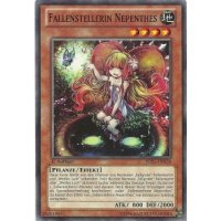 Fallenstellerin Nepenthes JOTL-DE034