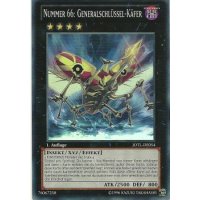 Nummer 66: Generalschlüssel-Käfer JOTL-DE054