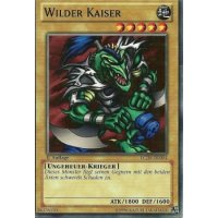Wilder Kaiser LCJW-DE004