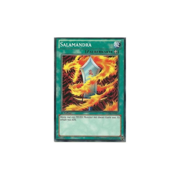 Salamandra LCJW-DE062