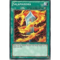 Salamandra LCJW-DE062