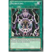 Befreiung LCJW-DE069