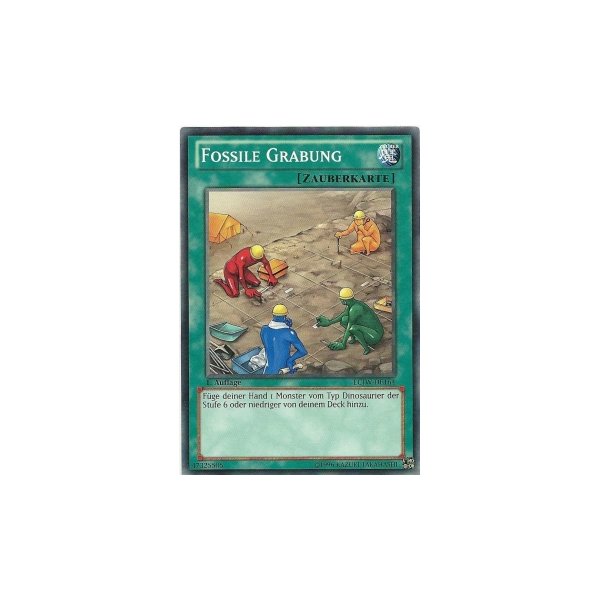 Fossile Grabung LCJW-DE164