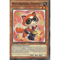 Waschbärbaby Ponpoko SHSP-DE014