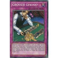 GROSSER Gewinn? SHSP-DE080