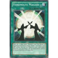 Vereinigte Magier YSYR-DE035