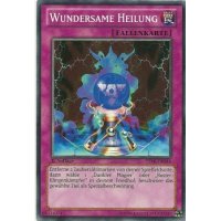Wundersame Heilung YSYR-DE044