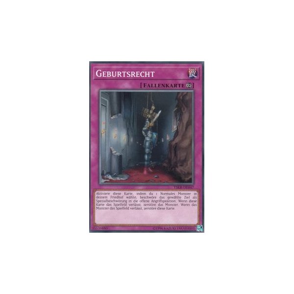 Geburtsrecht YSKR-DE047