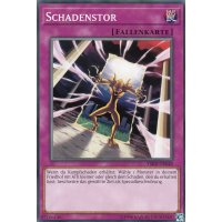 Schadenstor YSKR-DE048