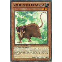 Verspieltes Opossum WGRT-DE033