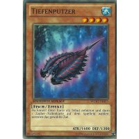 Tiefenputzer WGRT-DE053