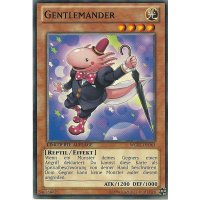Gentlemander WGRT-DE063