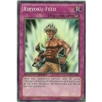 Riryoku-Feld WGRT-DE080
