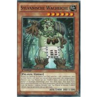 Sylvanische Wacheiche LVAL-DE019