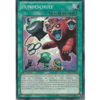 Hundeschule LVAL-DE088