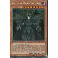 Wächter Brachialsense DRLG-DE010