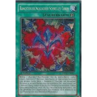 Rangsteigerungszauber Schnelles Chaos DRLG-DE042