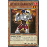 Unermüdlicher Boxer Riesenverband PRIO-DE008