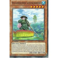 Sylvanischer Lotuschiffer PRIO-DE020