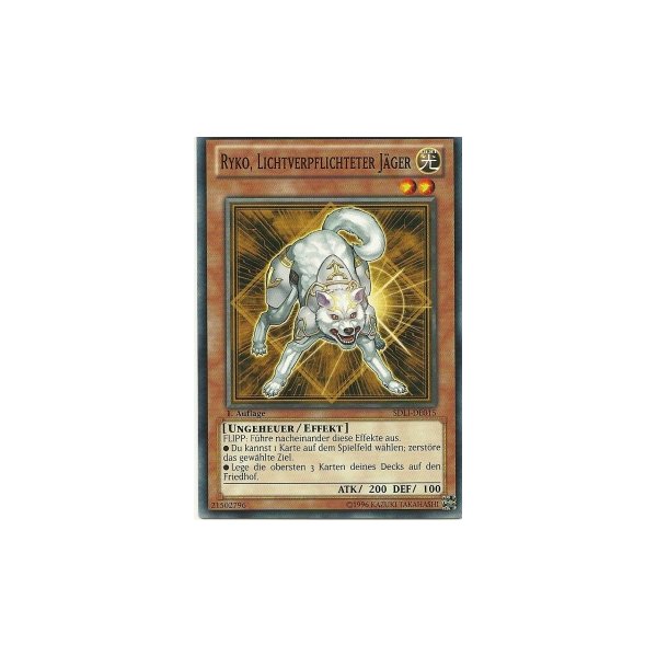 Ryko, Lichtverpflichteter J&auml;ger SDLI-DE015