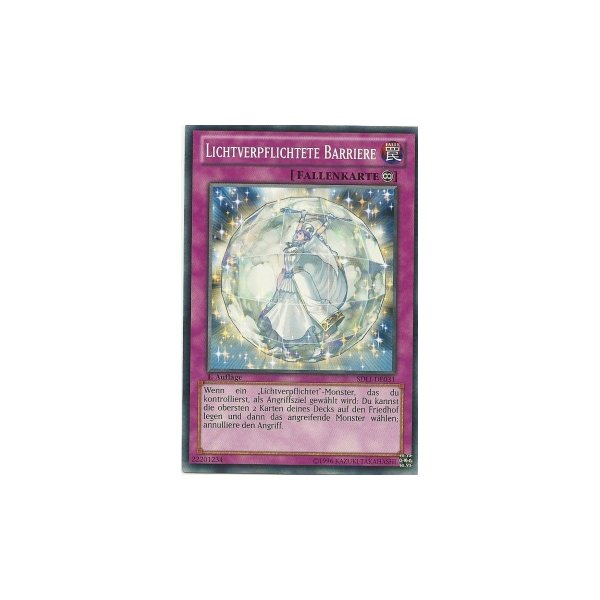 Lichtverpflichtete Barriere SDLI-DE031