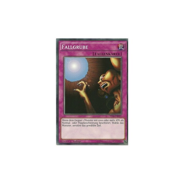 Fallgrube YS14-DE031