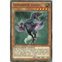 Schwarzer Veloci SHATTERFOIL BP03-DE037