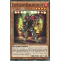 Unermüdlicher Boxer Switchhitter MP14-DE005