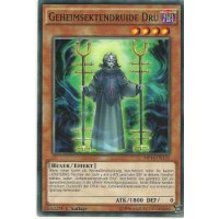 Geheimsektendruide Dru MP14-DE133