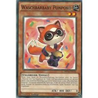 Waschbärbaby Ponpoko MP14-DE136