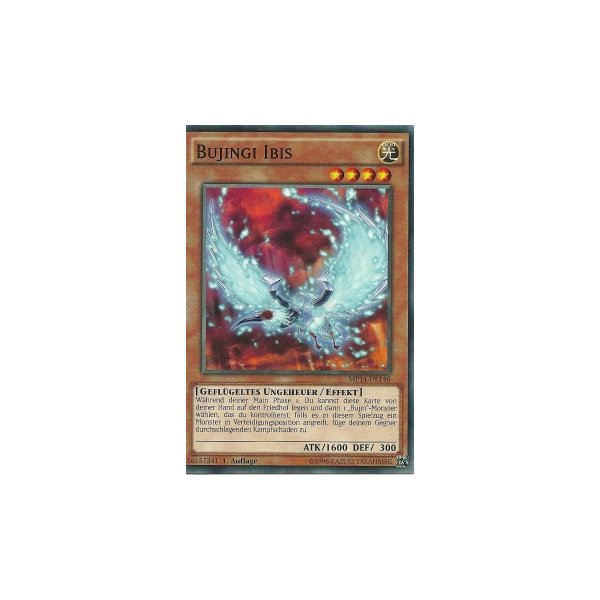 Bujingi Ibis MP14-DE146