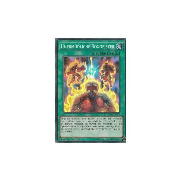 Unerm&uuml;dliche Boxgeister MP14-DE168