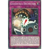 Geistertrick Erschrecken MP14-DE175