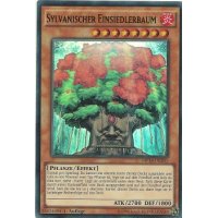 Sylvanischer Einsiedlerbaum MP14-DE201