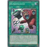 Hundeschule MP14-DE242