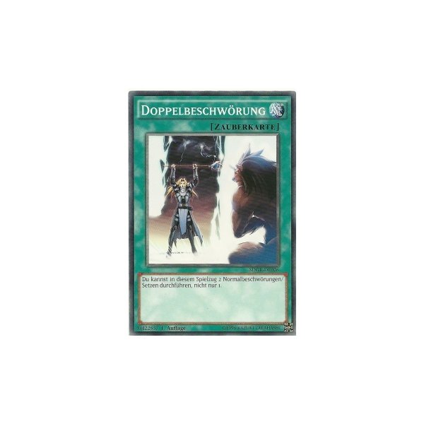 Doppelbeschw&ouml;rung SDGR-DE026