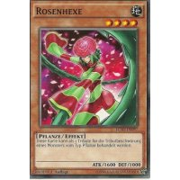 Rosenhexe LC5D-DE097