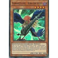 Schwarzflügel - Bora der Speer LC5D-DE111