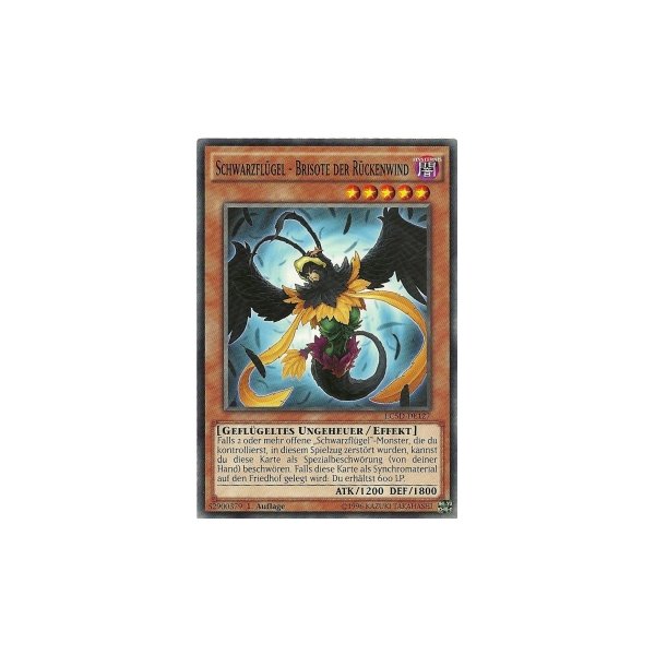 Schwarzfl&uuml;gel - Brisote der R&uuml;ckenwind LC5D-DE127