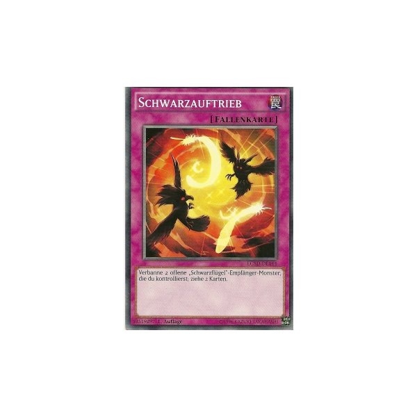 Schwarzauftrieb LC5D-DE144