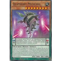 Qliphort-Muschel NECH-DE025